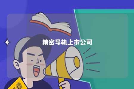 精密导轨上市公司 
