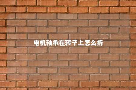 电机轴承在转子上怎么拆 